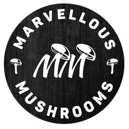 Marvellous Mushrooms, Gourmet Mushroom Grower, Mushroom Grow Kits, Angus, UK